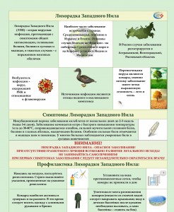 InkedListovka-Likhoradka-Zapadnogo-Nila-1_LI