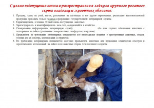 2_лейкоз