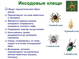 9b27d4a83dfb6aa980c34f43ec0a8f8c